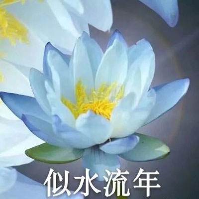 热血三国志手游下载