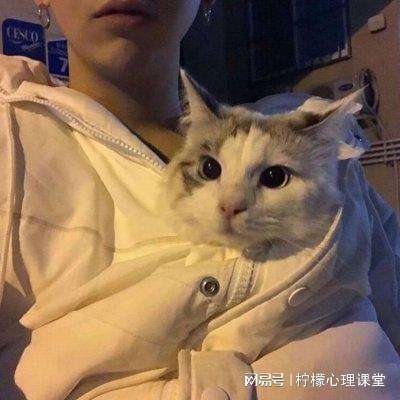 武斗传说手游