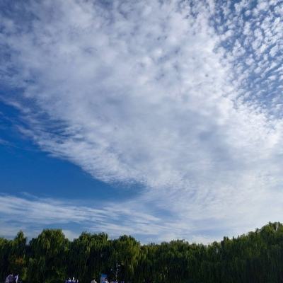 修罗武神变态版下载